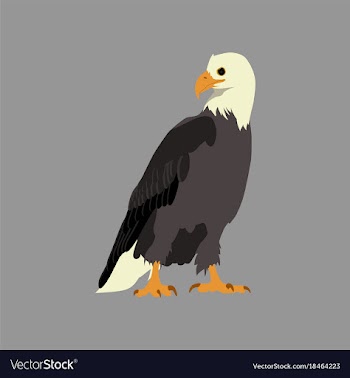 Flat icons on theme of andorra eagle vector image
