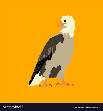 Flat icons on theme of andorra eagle vector image