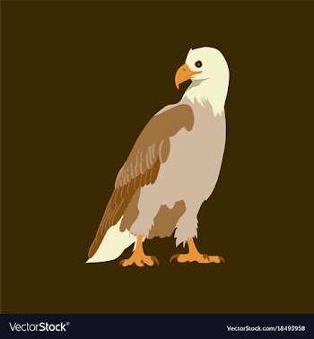 Flat icons on theme of andorra eagle vector image
