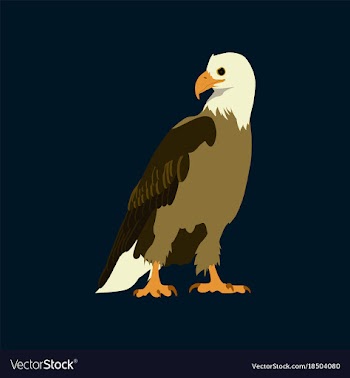 Flat icons on theme of andorra eagle vector image