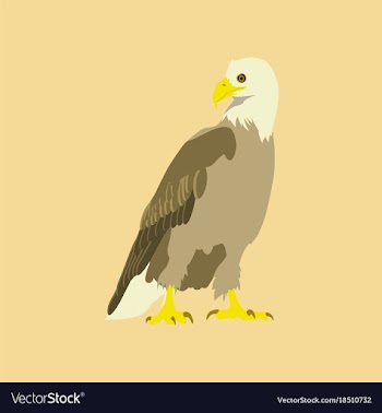 Flat icons on theme of andorra eagle vector image