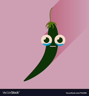 Flat icons with long shadow chilli pepper vector image