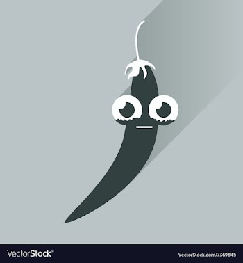 Flat icons with long shadow chilli pepper vector image