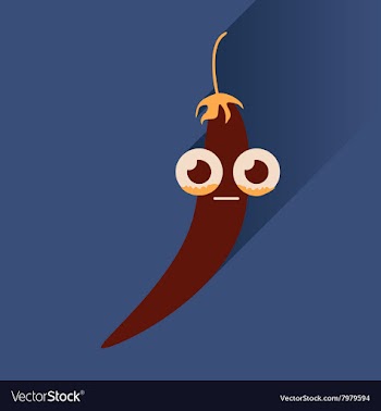 Flat icons with long shadow chilli pepper vector image