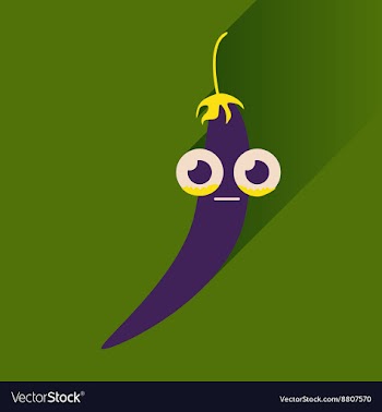 Flat icons with long shadow chilli pepper vector image