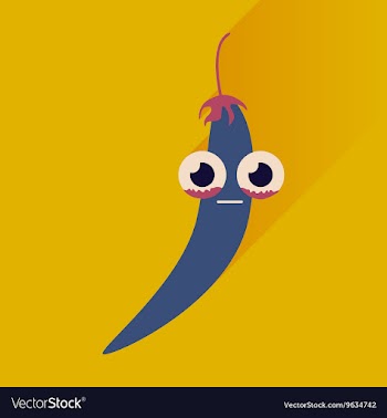 Flat icons with long shadow chilli pepper vector image