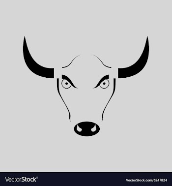 Flat in black and white angry bull vector image