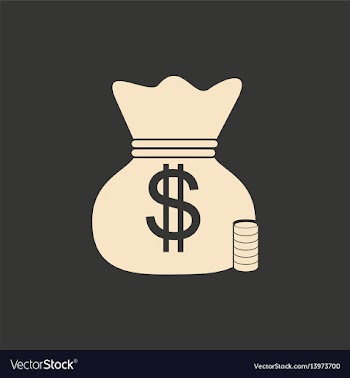Flat in black and white bag of money vector image