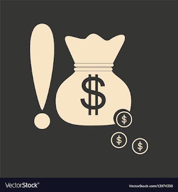 Flat in black and white bag of money vector image