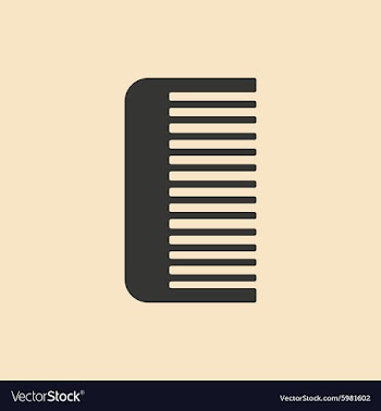 Flat in black and white comb vector image