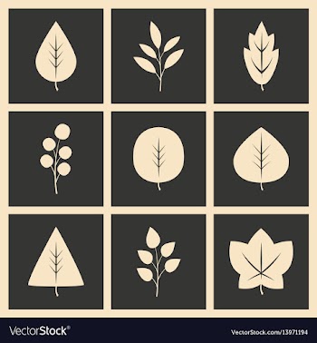 Flat in black and white concept mobile application vector image