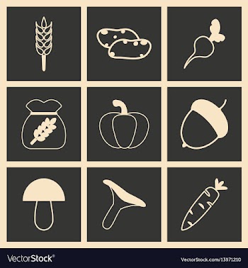 Flat in black and white concept mobile application vector image