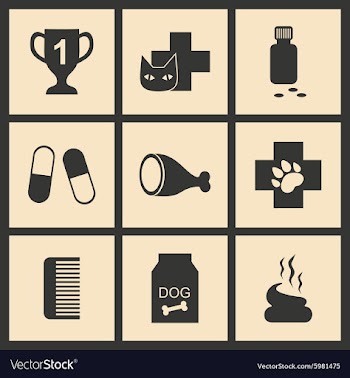 Flat in black and white concept mobile application vector image