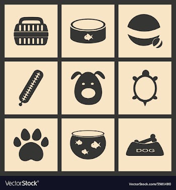 Flat in black and white concept mobile application vector image