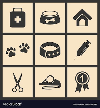 Flat in black and white concept mobile application vector image