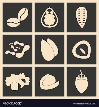 Flat in black and white concept mobile application vector image