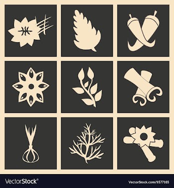 Flat in black and white concept mobile application vector image