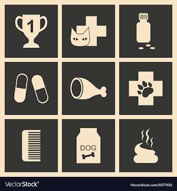 Flat in black and white concept mobile application vector image