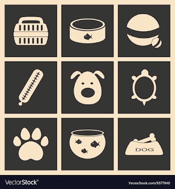 Flat in black and white concept mobile application vector image