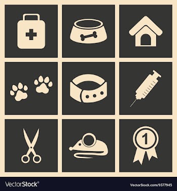 Flat in black and white concept mobile application vector image