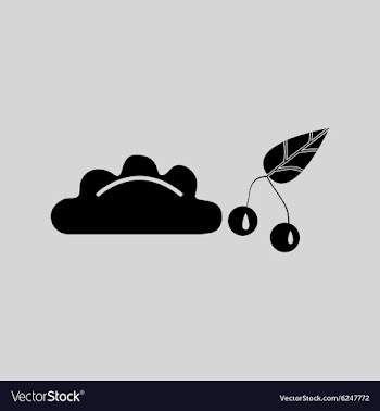 Flat in black and white dumpling with cherries vector image