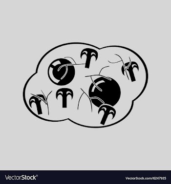 Flat in black and white eggs with mushrooms vector image
