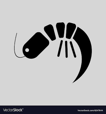 Flat in black and white fresh shrimp vector image
