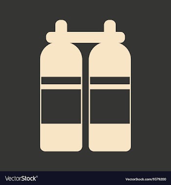 Flat in black and white mobile application air vector image