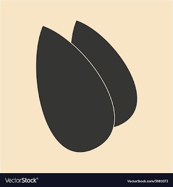 Flat in black and white mobile application almonds vector image