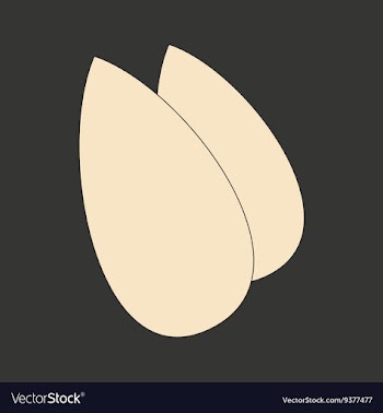 Flat in black and white mobile application almonds vector image