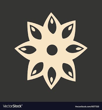 Flat in black and white mobile application anise vector image