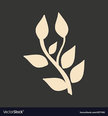 Flat in black and white mobile application basil vector image