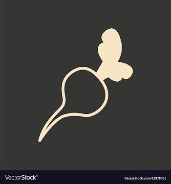 Flat in black and white mobile application beet vector image