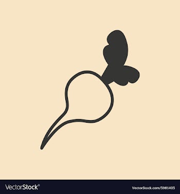Flat in black and white mobile application beet vector image