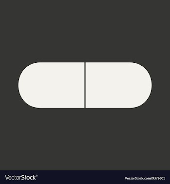 Flat in black and white mobile application capsule vector image