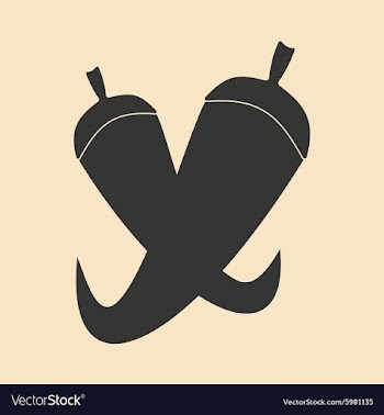 Flat in black and white mobile application chilli vector image