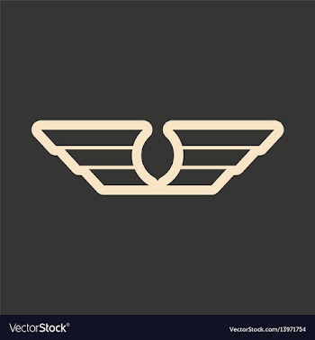 Flat in black and white mobile application eagle vector image