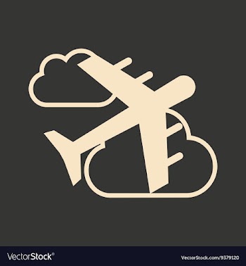 Flat in black and white mobile application flight vector image