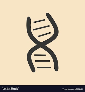 Flat in black and white mobile application genes vector image