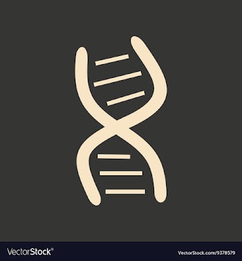 Flat in black and white mobile application genes vector image