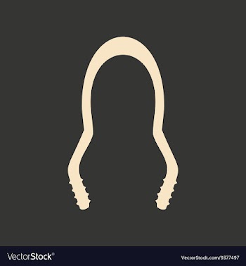 Flat in black and white mobile application hookah vector image