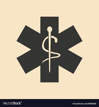 Flat in black and white mobile application logo vector image