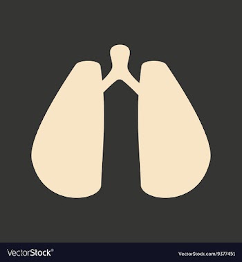 Flat in black and white mobile application lungs vector image