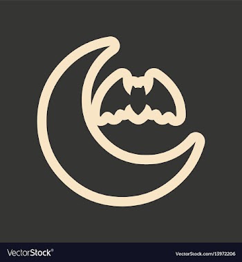 Flat in black and white mobile application moon vector image