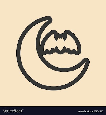Flat in black and white mobile application moon vector image