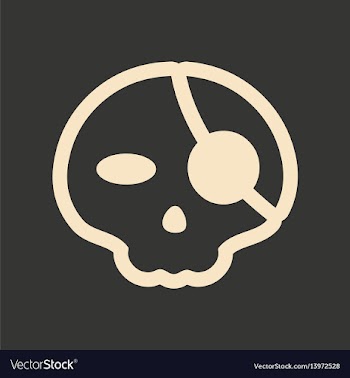 Flat in black and white mobile application pirate vector image