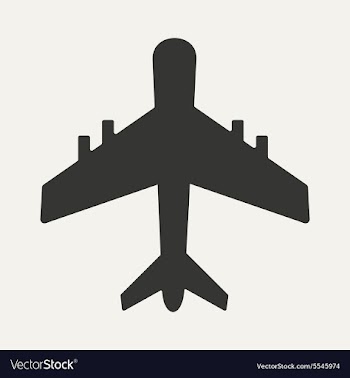 Flat in black and white mobile application plane vector image