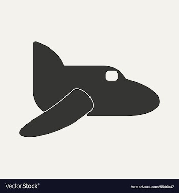 Flat in black and white mobile application plane vector image