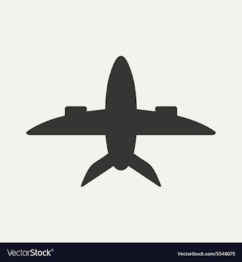 Flat in black and white mobile application plane vector image