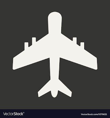 Flat in black and white mobile application plane vector image